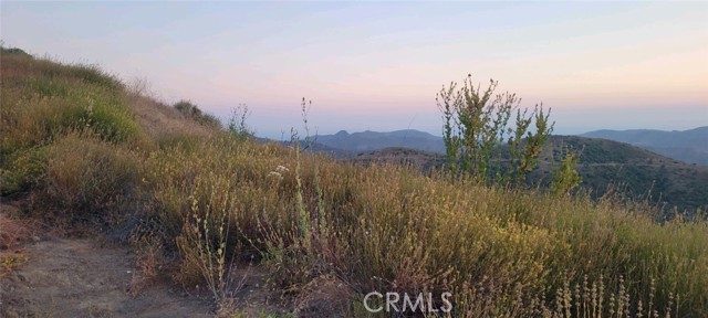 Detail Gallery Image 14 of 17 For 10 Williams Canyon Rd, Silverado Canyon,  CA 92676 - – Beds | – Baths