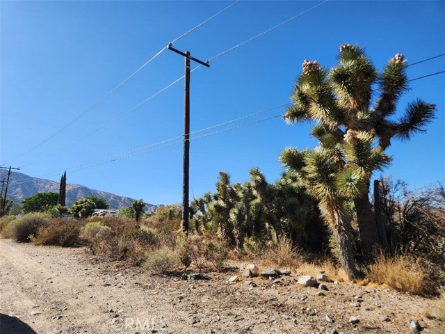 113 Stuveling, Phelan CA: https://media.crmls.org/medias/68c3484e-0b8e-44fc-96f7-c6697627271c.jpg