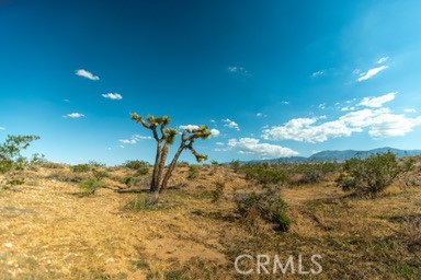 0 Vac/Cor Avenue U10/171 Ste, Other - See Remarks, California 93591, ,Land,For Sale,0 Vac/Cor Avenue U10/171 Ste,CREV23190144