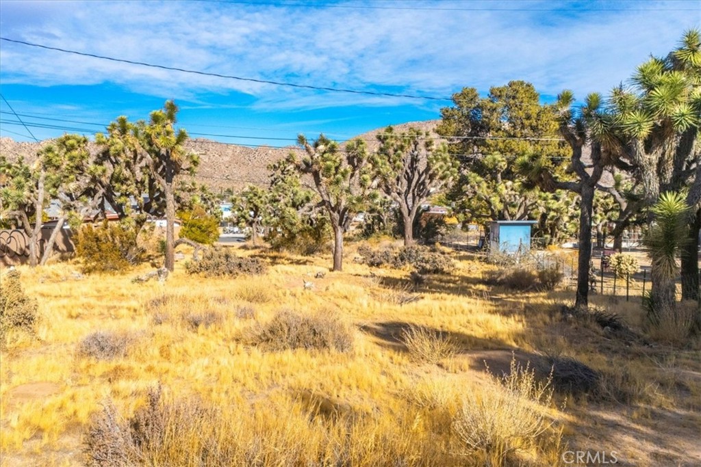 MLS #JT24242318 image #3