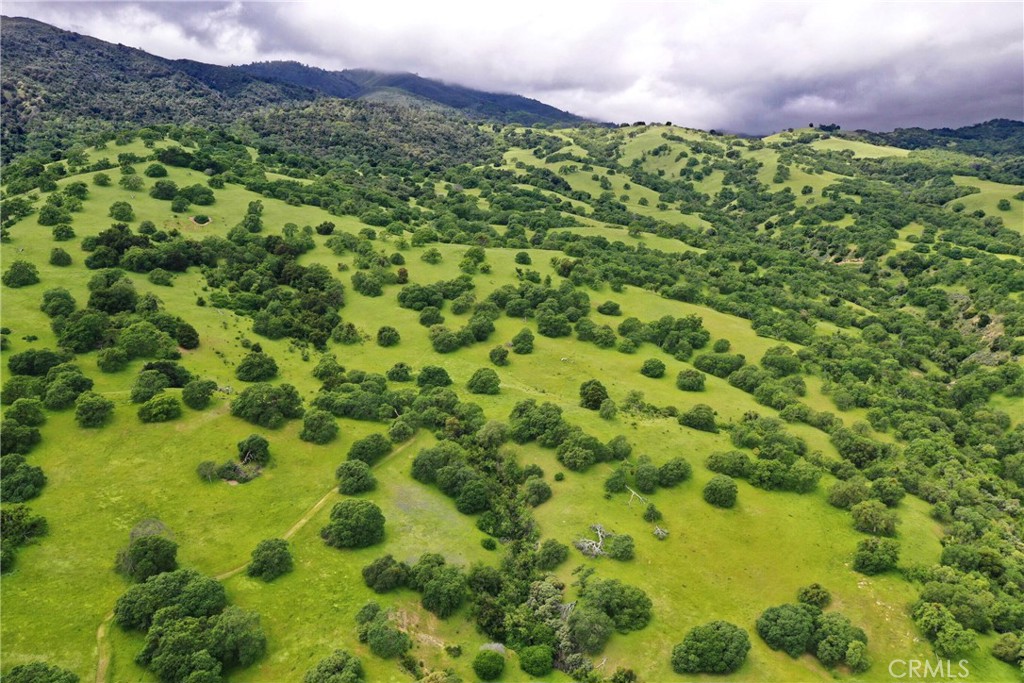 MLS #NS25260636 image #8