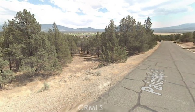 Detail Gallery Image 3 of 4 For 5115 Palomino Rd, Weed,  CA 96094 - – Beds | – Baths