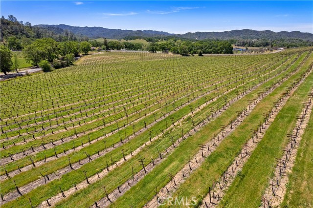 Detail Gallery Image 34 of 51 For 7875 Adobe Creek Rd, Kelseyville,  CA 95451 - 4 Beds | 4 Baths