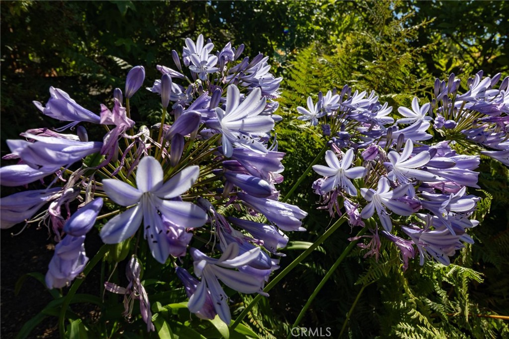 https://media.crmls.org/medias/68cf1b7a-e434-4b4b-9fb0-7be052277ea1.jpg?preset=X-Large
