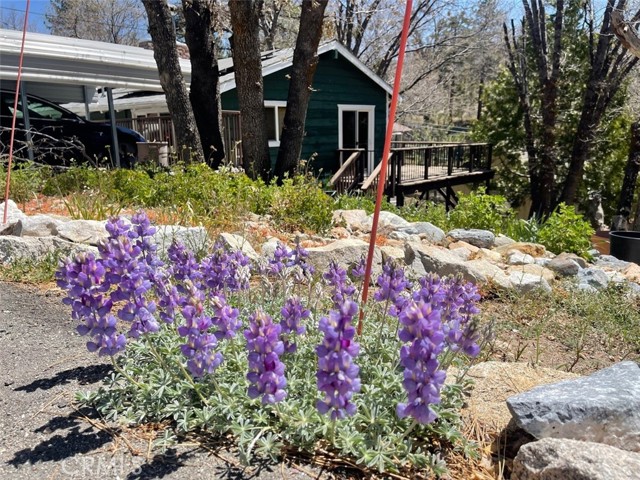 Detail Gallery Image 7 of 42 For 32765 Cougar, Arrowbear,  CA 92382 - 3 Beds | 1 Baths