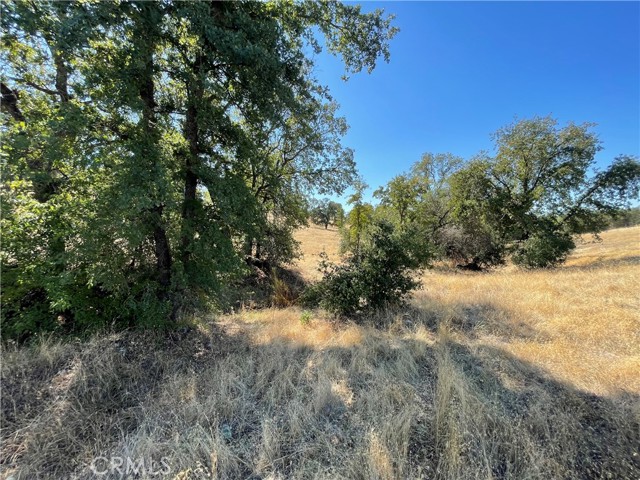 Detail Gallery Image 15 of 17 For 0 Bryden Way, Oroville,  CA 95966 - – Beds | – Baths