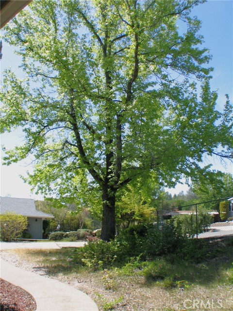 5316 Blinzig Court, Oroville, CA, 95966 5316 Blinzig Court, Oroville, CA, 95966