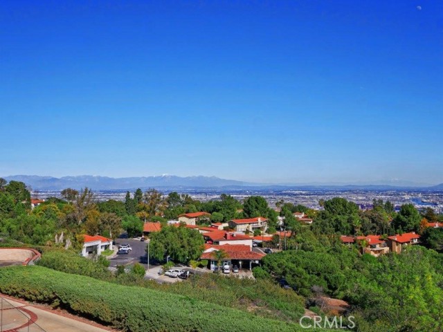 Snow-capped Mountain View