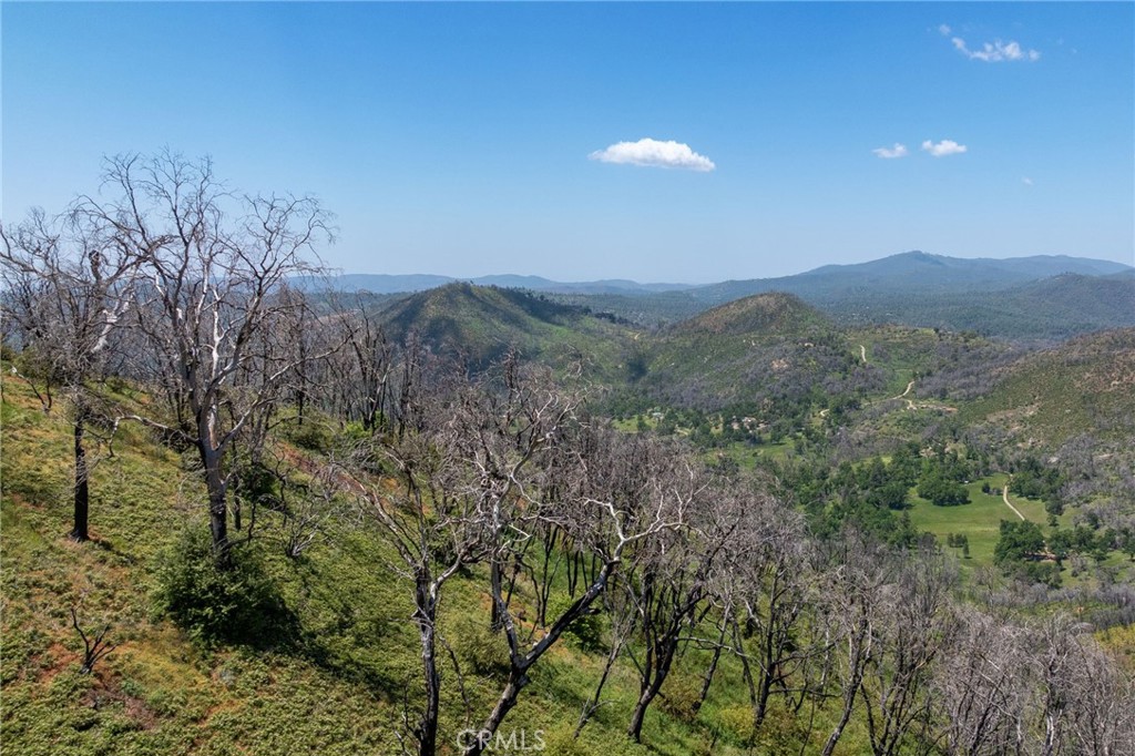 MLS #MP25088475 image #39