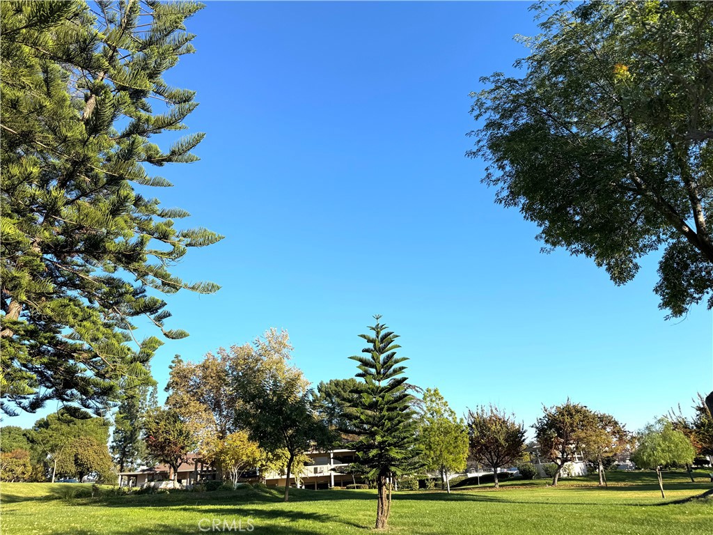 MLS #PW25273327 image #38