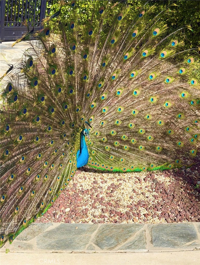 https://media.crmls.org/medias/69041f6e-34c6-4121-8a43-b7e355ff4ab5.jpg?preset=X-Large