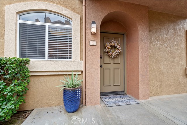 Front Image Thumbnail for CROC26047740