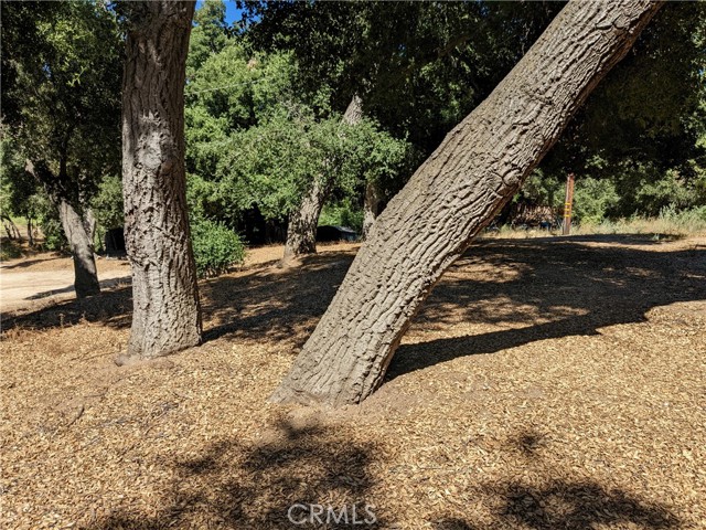 Detail Gallery Image 1 of 1 For 0 San Francisquito Cyn Rd, Green Valley,  CA 91350 - – Beds | – Baths