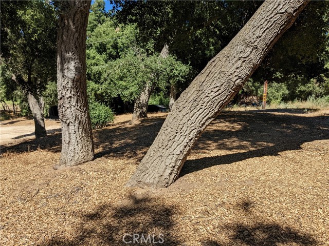 Detail Gallery Image 1 of 1 For 0 San Francisquito Cyn Rd, Green Valley,  CA 91350 - – Beds | – Baths