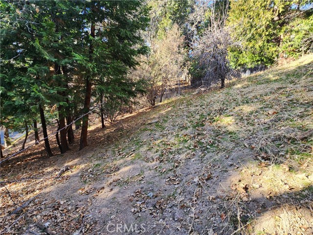0 Basel Drive, Crestline CA: https://media.crmls.org/medias/69129ec9-aab8-488a-9632-136aa6d155a6.jpg