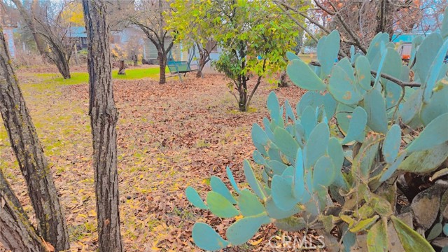 Detail Gallery Image 13 of 35 For 9781 Richards Rd, Live Oak,  CA 95953 - 2 Beds | 1 Baths