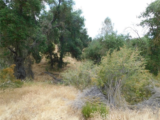 9890 Huer Huero Road, Creston, California 93432, ,Land,For Sale,9890 Huer Huero Road,CRNS23140865