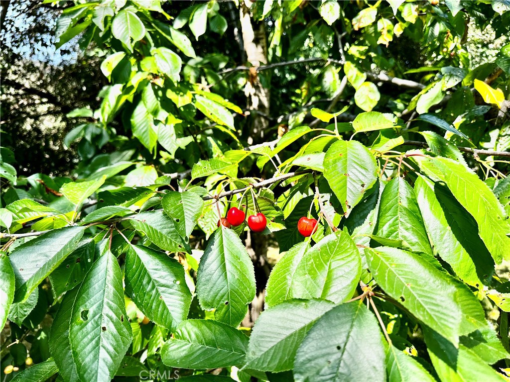 https://media.crmls.org/medias/691b66ad-c52f-4754-b2e8-fdef6a2a06d2.jpg?preset=X-Large