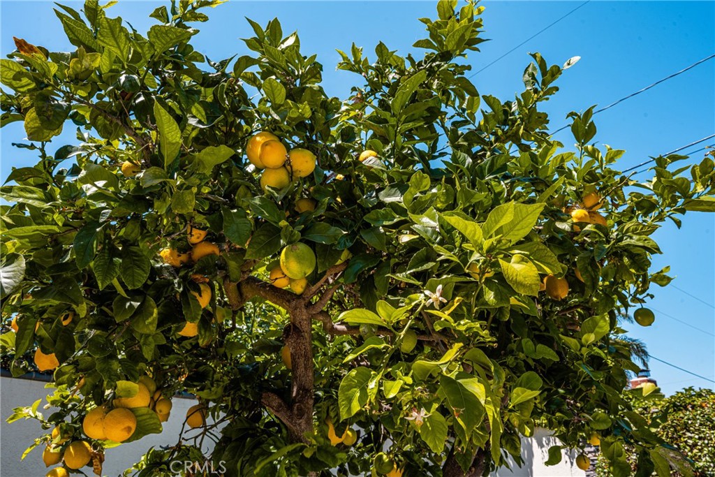 https://media.crmls.org/medias/691d332e-9595-4e9e-a75c-f53b1e7d8228.jpg?preset=X-Large