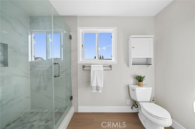 Image 19 of 42 For 6 Blazing Star