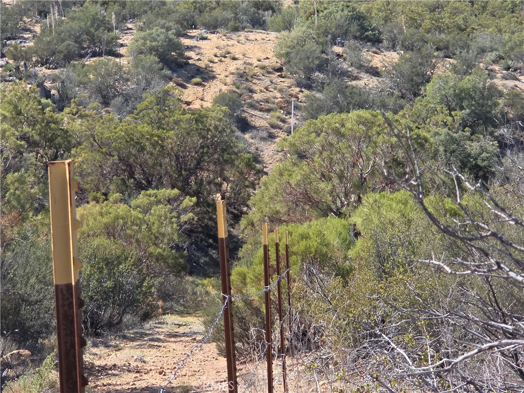 MLS #SW25248553 image #12