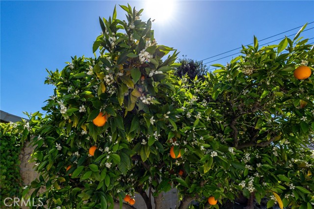 Detail Gallery Image 41 of 41 For 2924 Pecos, Riverside,  CA 92506 - 3 Beds | 2 Baths