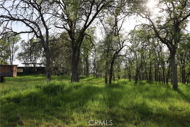 Detail Gallery Image 28 of 32 For 0 Douglas Rd, Coarsegold,  CA 93614 - – Beds | – Baths