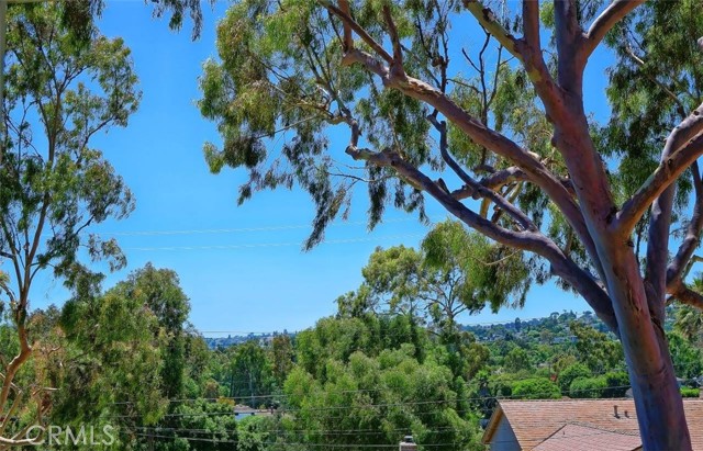 View from upper level living room