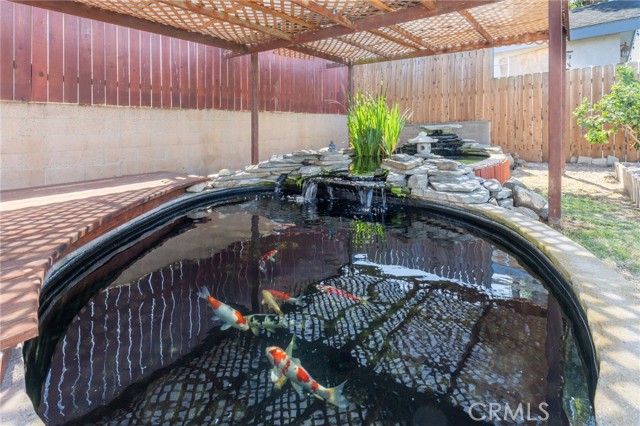 Your koi pond, with koi. So relaxing and beautiful.