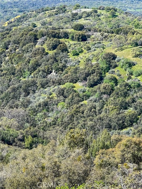 Detail Gallery Image 65 of 74 For 44981 Todd Eymann Rd, Miramonte,  CA 93641 - 1 Beds | 1 Baths