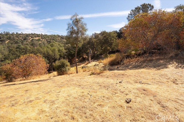 Detail Gallery Image 10 of 41 For 3279 Quail Run Rd, Mariposa,  CA 95338 - – Beds | – Baths