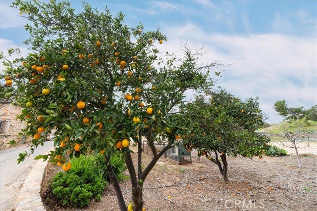 Detail Gallery Image 66 of 74 For 13511 Mcnally, Valley Center,  CA 92082 - 2 Beds | 1 Baths