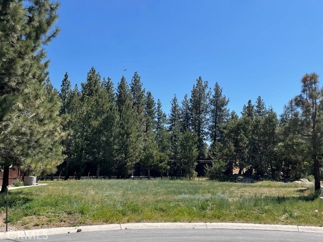 Big Bear Lake, CA 92315