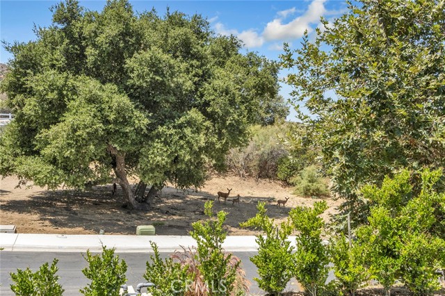 26474 Ranch Creek Road, Canyon Country CA: https://media.crmls.org/medias/69414350-1f99-44ac-9d64-aeaaceb01ed1.jpg