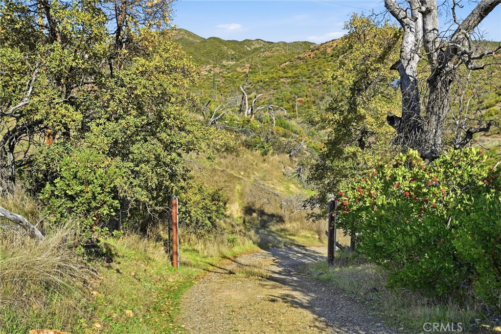 MLS #LC25273256 image #13