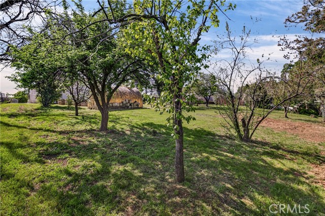 Detail Gallery Image 47 of 55 For 2537 Oro Quincy, Oroville,  CA 95966 - 3 Beds | 1/1 Baths