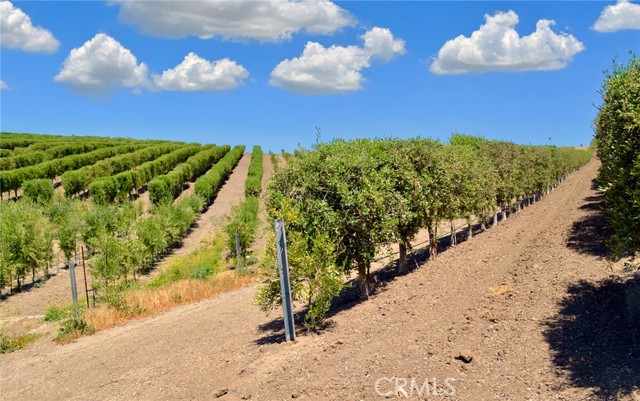 Detail Gallery Image 27 of 32 For 6320 Von Dollen Rd, San Miguel,  CA 93451 - – Beds | – Baths