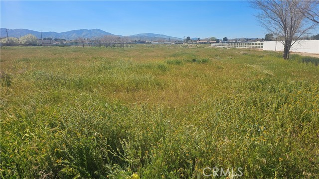 Front Image Thumbnail for CRSR26234059