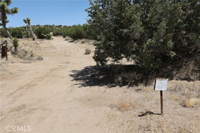 Detail Gallery Image 54 of 58 For 0 Longview Rd, Pearblossom,  CA 93553 - – Beds | – Baths