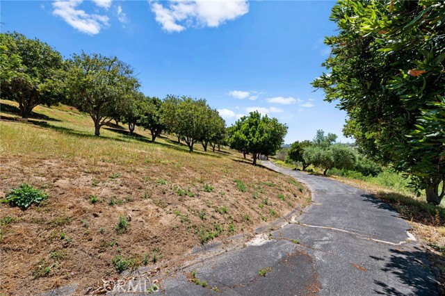 Detail Gallery Image 47 of 50 For 3520 Canonita Dr, Fallbrook,  CA 92028 - 3 Beds | 2/1 Baths
