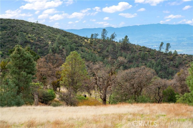Detail Gallery Image 32 of 49 For 9000 Figueroa Mountain Rd, Los Olivos,  CA 93441 - 2 Beds | 1 Baths