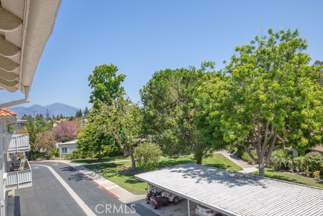 Front Image Thumbnail for CROC26018092