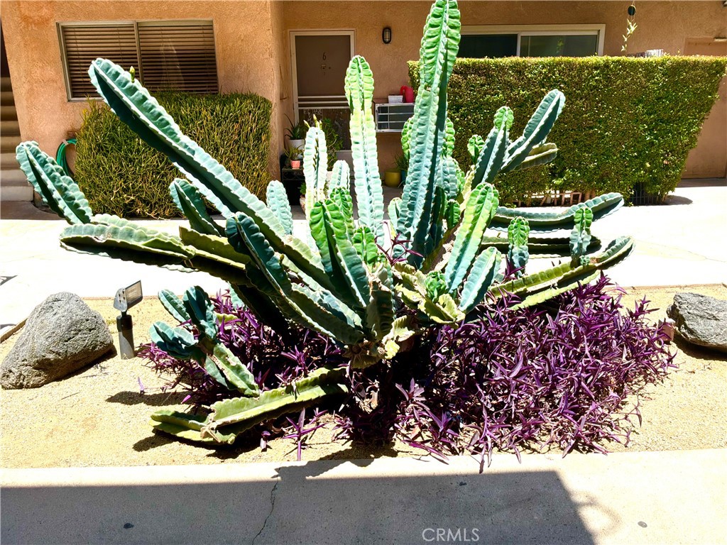 https://media.crmls.org/medias/695f1335-c1fc-48de-9651-86e220e23cb0.jpg?preset=X-Large