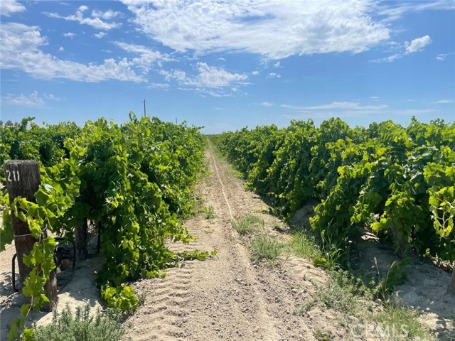 Detail Gallery Image 3 of 13 For 1 S Plumas Ave, Kerman,  CA 93630 - – Beds | – Baths