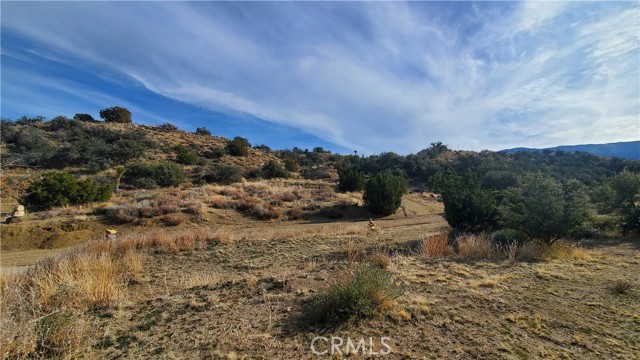 MLS #SR25242278 image #31