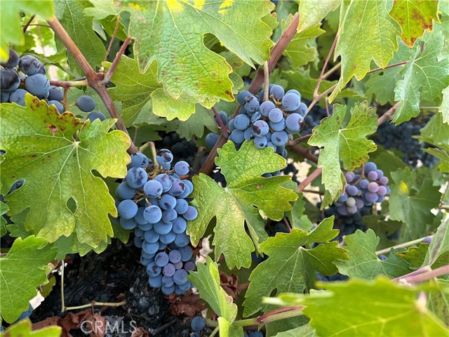 Detail Gallery Image 58 of 66 For 53600 Bradley Lockwood, Bradley,  CA 93426 - 3 Beds | 2 Baths