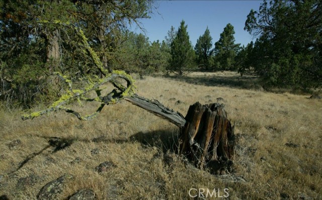 Detail Gallery Image 7 of 11 For 0 99xx Big Springs Rd, Montague,  CA 96064 - – Beds | – Baths