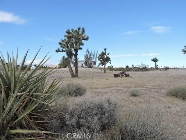 Detail Gallery Image 26 of 33 For 58223 Sunflower Dr, Yucca Valley,  CA 92284 - 0 Beds | –/1 Baths