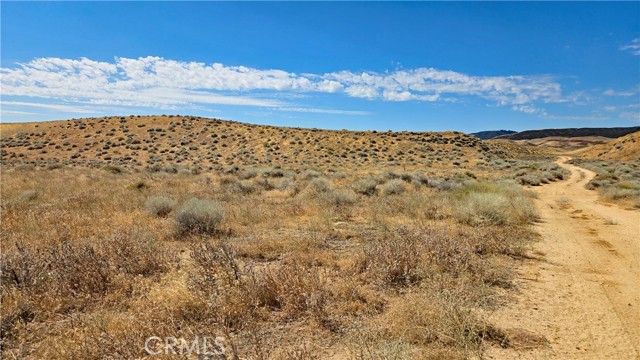 Front Image Thumbnail for CRSR26172972