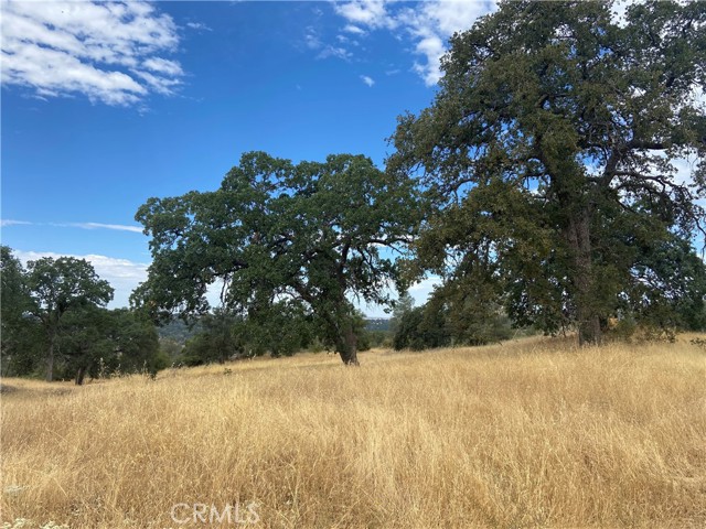 0 Hogans Mountain RD, Coarsegold, California 93614, ,Land,For Sale,0 Hogans Mountain RD,CRMP23147543